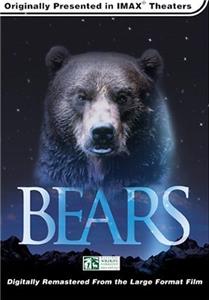 Bears (2004) Online