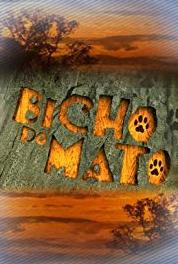 Bicho do Mato Episode dated 7 December 2006 (2006–2007) Online