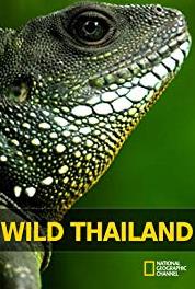 Wild Thailand A Land of Beauty and Incredible Contrasts (2013– ) Online