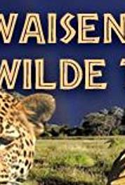 Das Waisenhaus für wilde Tiere Episode #1.11 (2011– ) Online