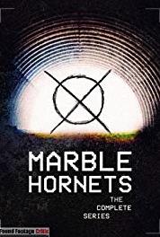 Marble Hornets Entry #14 (2009–2014) Online