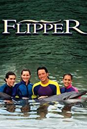 Flipper Episode dated 3 September 1997 (1995– ) Online