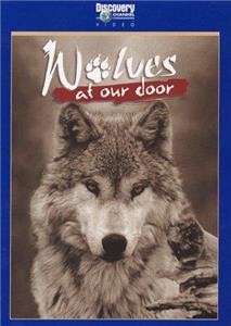 Wolves at Our Door (1997) Online