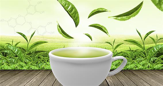 Green Tea! (2012) Online
