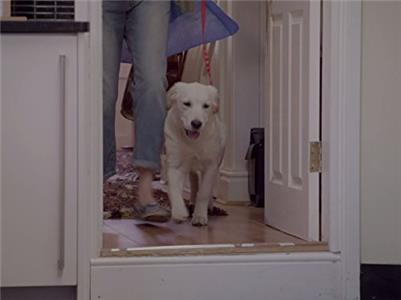 Puppy Love Episode #1.2 (2014– ) Online