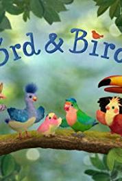 3rd & Bird Super Slide (2008– ) Online