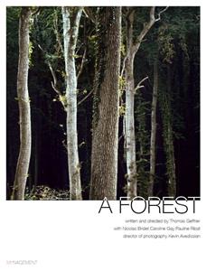 A Forest (2017) Online