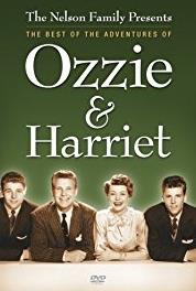 The Adventures of Ozzie and Harriet Hidden Panel (1952–1966) Online