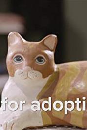 Up for Adoption Rainy Day (2017– ) Online
