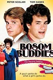 Bosom Buddies Only the Lonely (1980–1982) Online