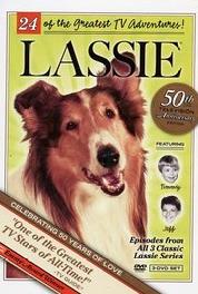 Lassie The Big Cat (1954–1974) Online