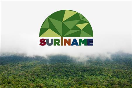 Suriname: Designer Collaboration Project (2014) Online