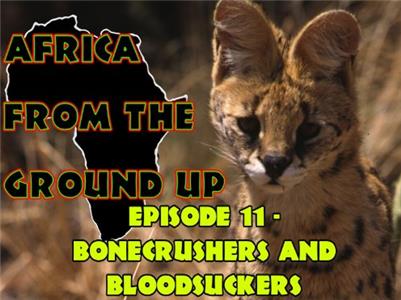 Africa from the Ground Up Bone-crushers and Bloodsuckers (1999– ) Online