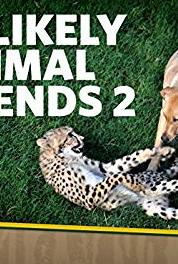 Unlikely Animal Friends Hello Kitty (2012– ) Online