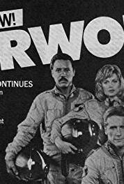 Airwolf Salvage (1987) Online