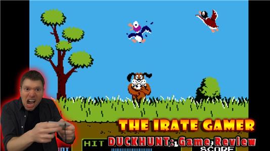 The Irate Gamer Duck Hunt (2007– ) Online