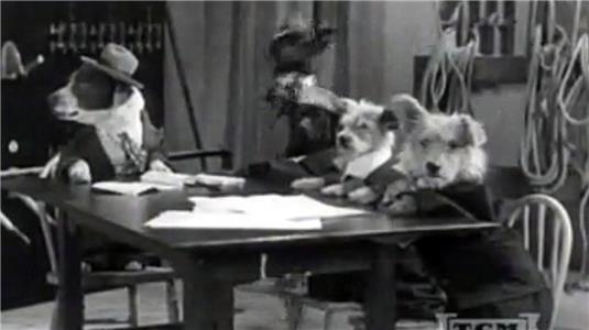 The Two Barks Brothers (1931) Online