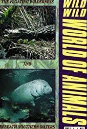 The Wild, Wild World of Animals Bears and Other Carnivores (1973–1978) Online