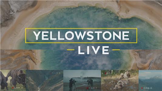 Yellowstone LIVE  Online