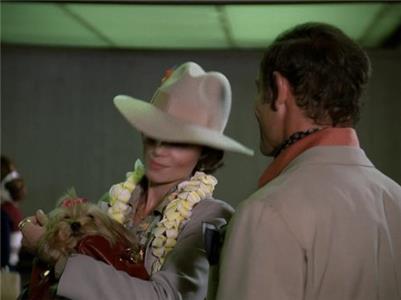 Hawaii Five-O The Bark and the Bite (1968–1980) Online