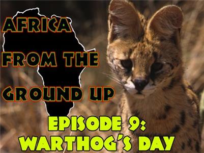 Africa from the Ground Up Warthog's Day (1999– ) Online