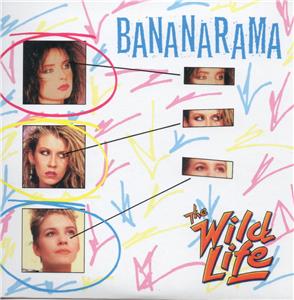 Bananarama: The Wild Life (1984) Online