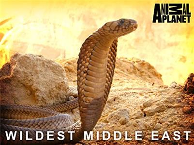 Wildest Middle East  Online