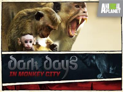 Dark Days in Monkey City  Online