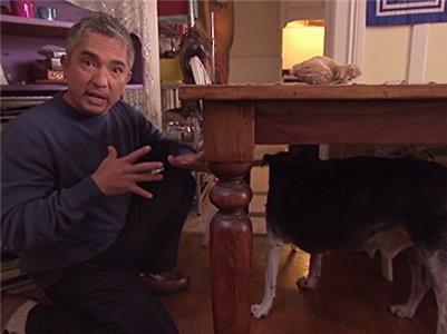 Dog Whisperer with Cesar Millan My Life on the Dog List (2004–2016) Online