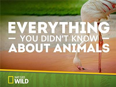 Everything You Didn't Know About Animals Tigers, Rhinos & Naked Mole Rats (2015– ) Online