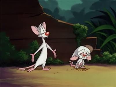 Pinky und der Brain Welcome to the Jungle (1995–1998) Online