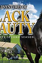 The New Adventures of Black Beauty The Search (1992– ) Online
