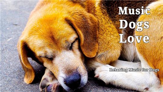 Music Dogs Love: Relaxing Music for Dogs (2017) Online