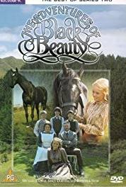 The Adventures of Black Beauty Race Against Time (1972–1974) Online