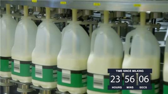 Inside the Factory: How Our Favorite Foods Are Made Milk (2015– ) Online