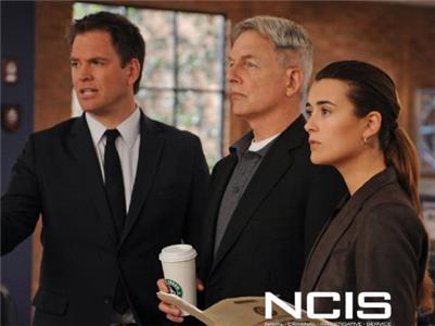 NCIS: Naval Criminal Investigative Service Hit and Run (2003– ) Online