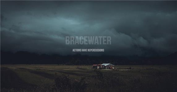 Bracewater  Online